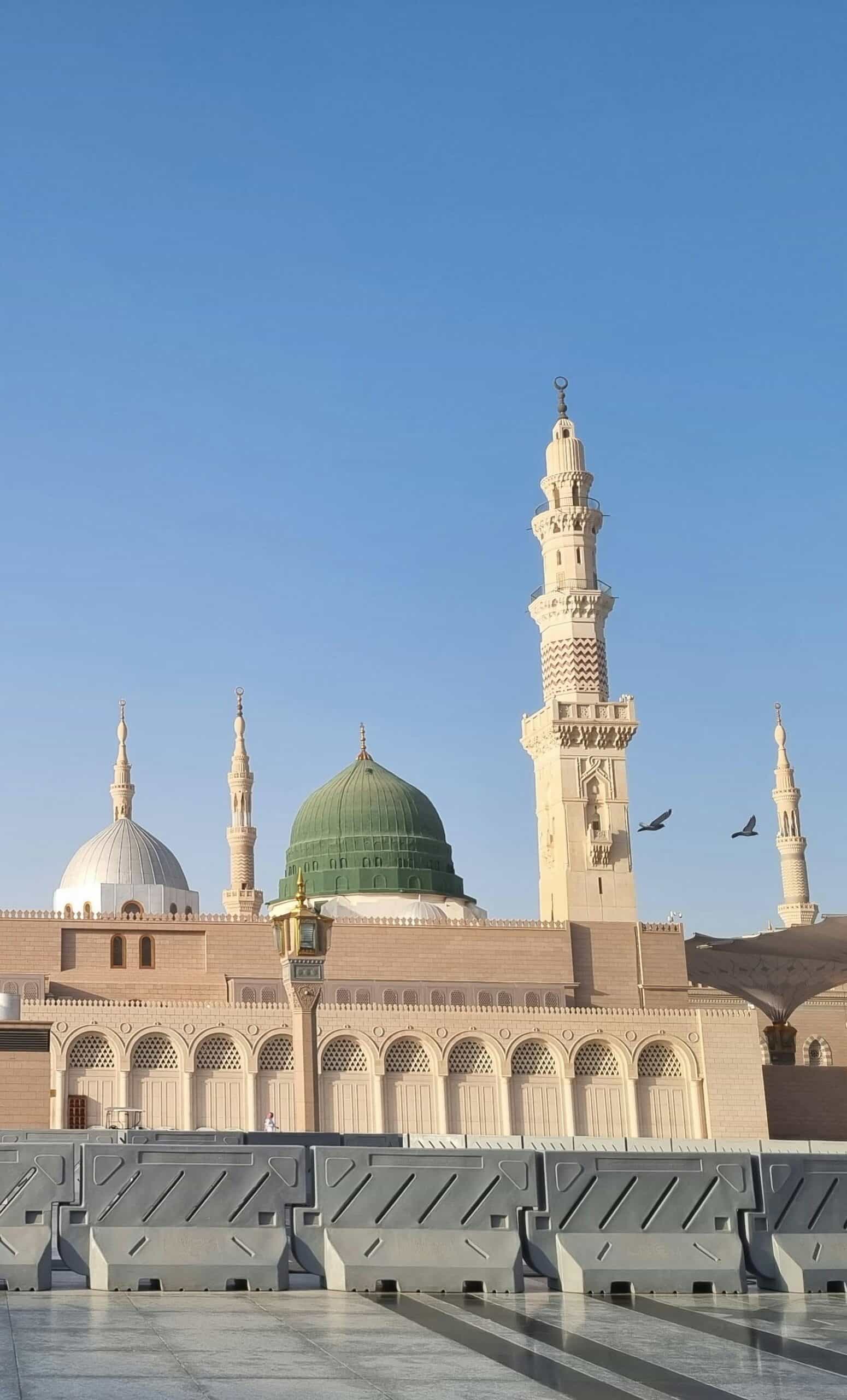 المدينة المنورة